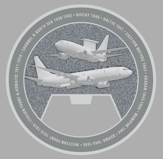 42 Sqn Challenge Coin